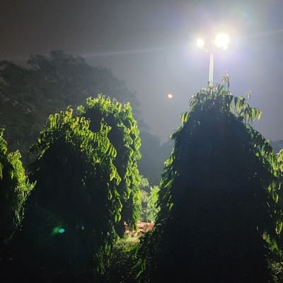 KentAshish's profile picture. 