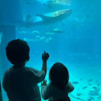30歳育児奮闘中👩 2018boy👦2021girl👧懸賞アカウントです。副業興味ありません。無言フォロー失礼します🙇‍♀️当たりますように✨