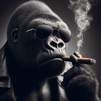 Kong on Fire(@freeforever07) 's Twitter Profile Photo