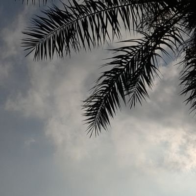 عبارات و خواطر 🍃
