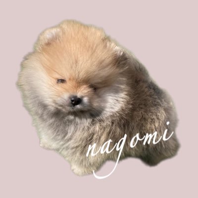 nagomi_kedama Profile Picture