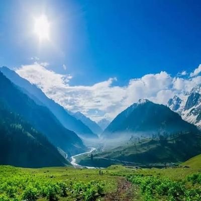 Vadiekashmiri's profile picture. 