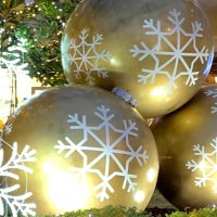 ゆー (@neeee_060) 's Twitter Profile