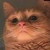 jss (@jeloussssss) Twitter profile photo jss (@jeloussssss) Twitter profile photo