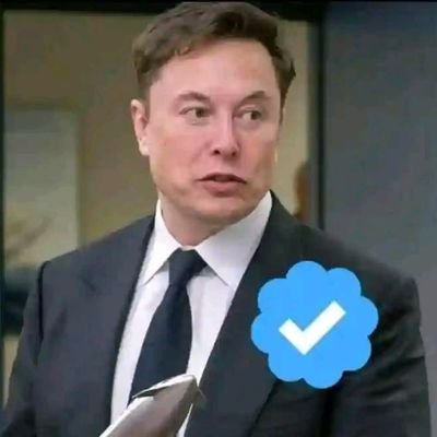 🚀 | Spacex - CEO & CTO
🚘 | Tesla -CEO And Product Architect 
🗺 | Twitter- CEO
🚅 | Hyperloop - Founder