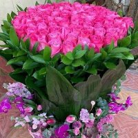 ام سلطان (@hagi7051893772) Twitter profile photo