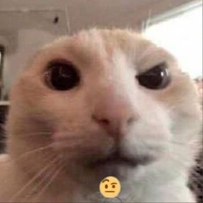 zzubou048's profile picture. a walking zombie 24/7🧟‍♀️