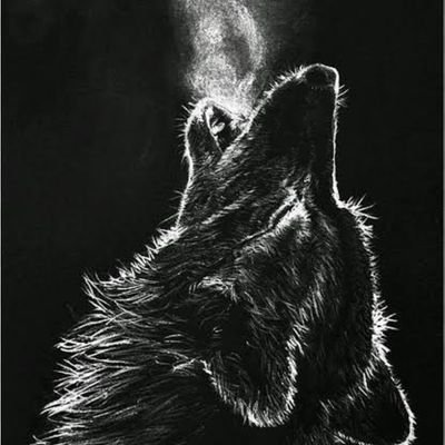d_lonewolfe Profile Picture