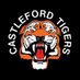 Castleford Tigers (@CTRLFC) Twitter profile photo