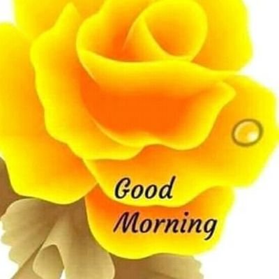 AnisAli977633's profile picture. 