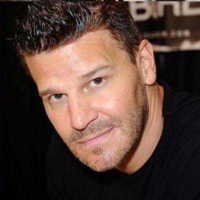 welcome to the David Boreanaz .#1 source for everything @David Boreanaz. We provide the latest news, photographs, legal media, & upcoming releases, etc.