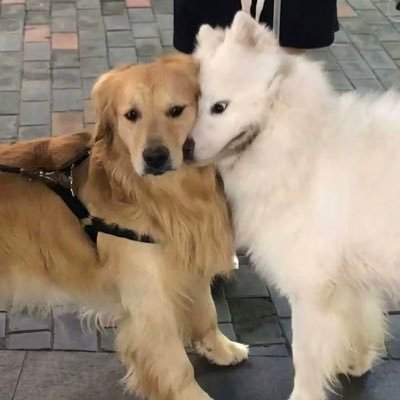 maaezamamalon's profile picture. 20⬆️