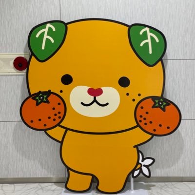 rururu873987627's profile picture. ただただ安心して大好きな日本で暮らしたい🌳 これから先も日本の素晴らしい文化や伝統、安全を子々孫々のみなが享受できる国であってほしい🪴参政党はじめ愛国保守系議員や人を応援 🎌参政党の「国家観」「歴史観」「世界観」に共鳴✨都内在住 夫婦で参政党一般党員