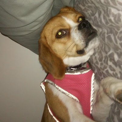 gtgt201027620's profile picture. https://t.co/x3INkebKfJ
https://t.co/vNrgg1lxa9