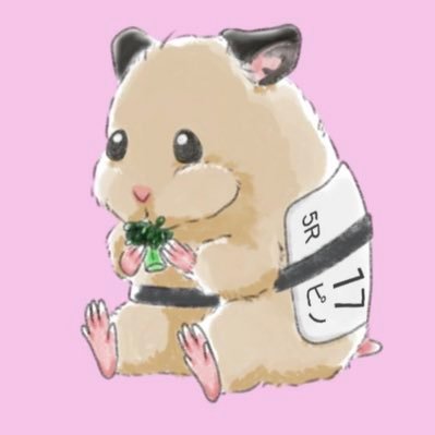 キンクマハムスターのピノ🐹♀✴︎2022年12月生まれ💓競馬🏇ハンドメイド💍 カメラ📷パドック&血統重視🌟推し馬🐴ブレイディヴェーグ🐴ヴィクティファルス🐴プレサージュリフト🐴スティールブルー🐴エターナルタイム🐴モアザンワンス🐴バスターコール🐴ミアネーロ🐴カルデライト あだ名はハム競🤗