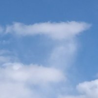 青雲空@小説家になろう・カクヨム (@blue_cloud1117) 's Twitter Profile Photo