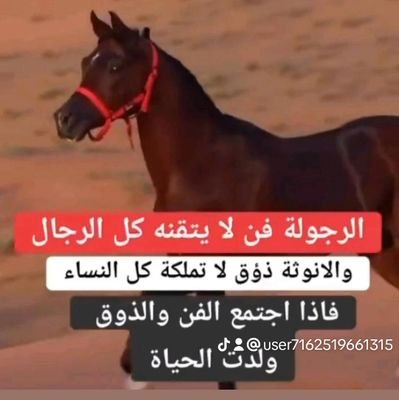 azm1561's profile picture. أنا ممكن اكون لك ولكي صديق طول الحياة .....
ولكنني لا أصلح للحب ....