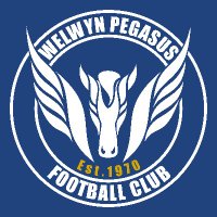 Welwyn Pegasus FC(@welwynpegasusfc) 's Twitter Profile Photo