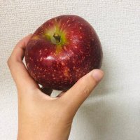 基(lunam et lotos) (@lunam_et_lotos) 's Twitter Profile Photo 基(lunam et lotos) (@lunam_et_lotos) 's Twitter Profile Photo