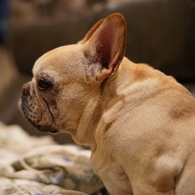 utakatajin's profile picture. お掛けになった電話番号は現在使われておりません。