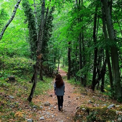 Graduada en Historia.
Docencia e investigación didáctica.
Desde que el alba quiso ser Alba.