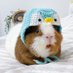 ร่างทรงเพนกวิน🐧 (@rangsongpenguin) Twitter profile photo ร่างทรงเพนกวิน🐧 (@rangsongpenguin) Twitter profile photo