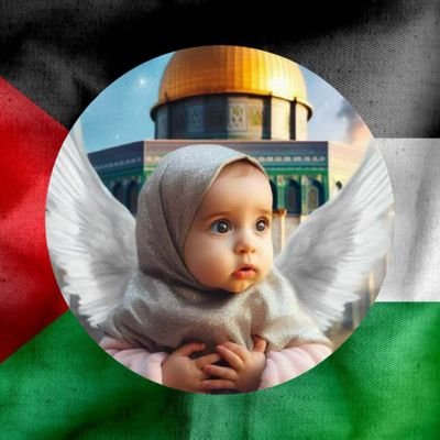 m_bidoki's profile picture. 