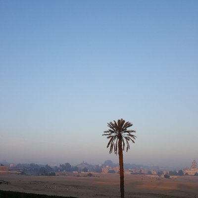 staycool654's profile picture. 