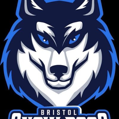 Bristol Ice Hockey Academy