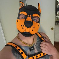 PupDuke 2.0 (@puppyduke2) 's Twitter Profile
