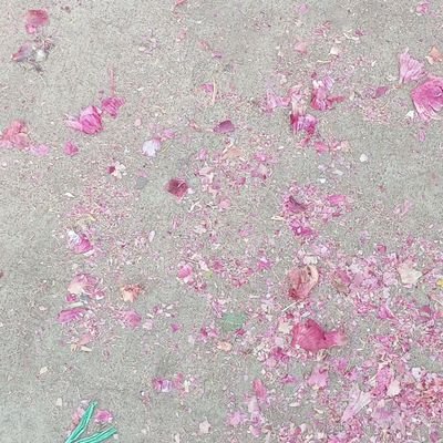 lakshthen14483's profile picture. Uyuuwk hhjjwoo uhe hue njejñe