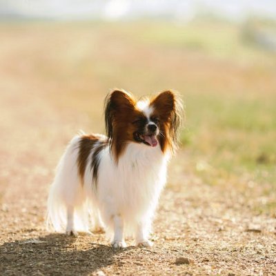 KimberlyMo44298's profile picture. 