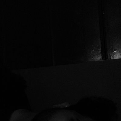 PMantaz68445's profile picture. 