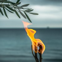 oneluman 🖤🟡🟩 (@oneluman) 's Twitter Profile Photo