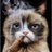 Daikan0727's profile image