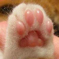 BB (@bbeen_bb) 's Twitter Profile