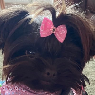 MyPerimenoDiary's profile picture. just enjoying life on my wee patch of Scotland ✌️🏴󠁧󠁢󠁳󠁣󠁴󠁿