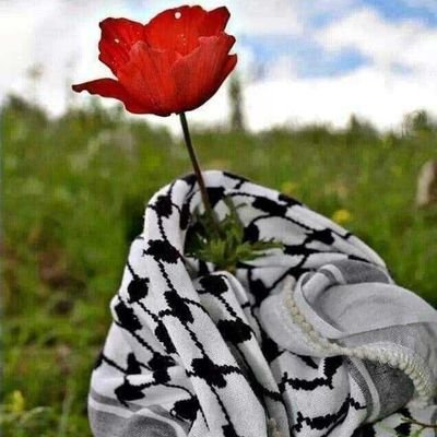 لا اعترف باسرائيل 
وتحيا فلسطين ومقاومتها
رد المتابعه #بليززز،⁦✌️⁩