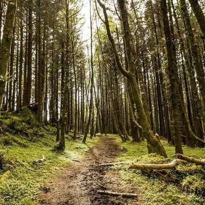 endofhumanity82's profile picture. 