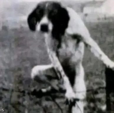 UsReptilee's profile picture. 