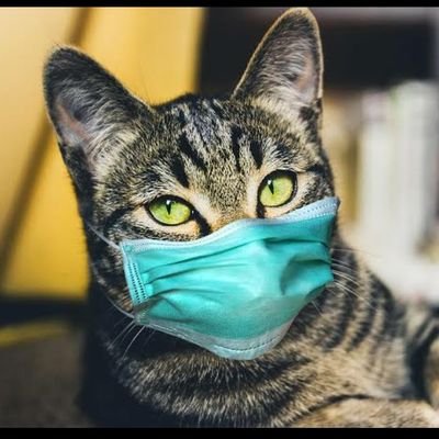 hekimyaren's profile picture. 