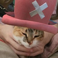 roki🍉 (@roki_toki) 's Twitter Profile Photo roki🍉 (@roki_toki) 's Twitter Profile Photo