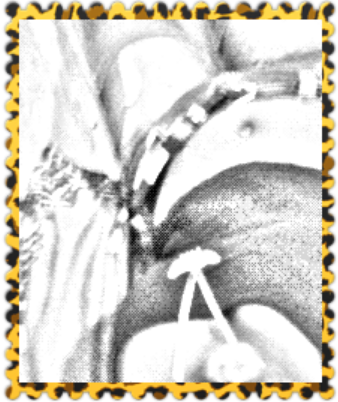My momma named me crystaal 'cause she kkne I was gonna shine !. Yuh can love me or hate me im still gonna shine