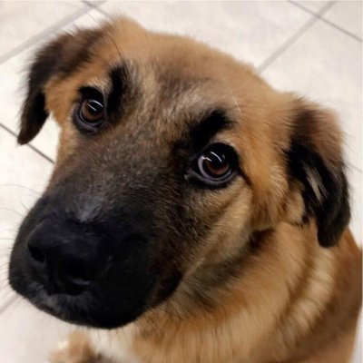 jjkeroppi's profile picture. A spunky maid from Robonia.