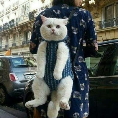 ブッカーアニキさんのプロフィール画像