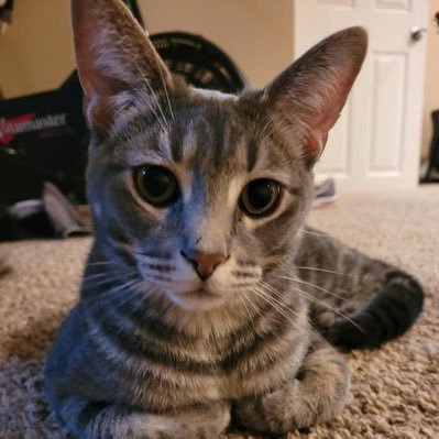 NJS_2011's profile picture. SRNA, RN-BSN "Because Christ also suffered for you, leaving you an example, so that you might follow in his steps (1 Peter 2:21)