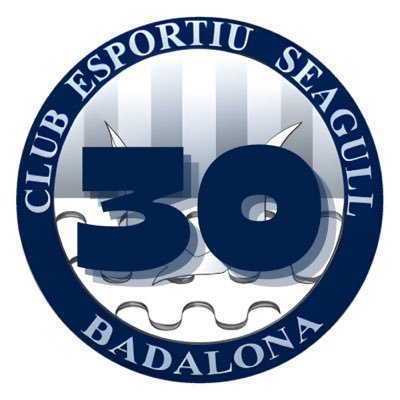 𝗧𝗪𝗜𝗧𝗧𝗘𝗥 𝗢𝗙𝗜𝗖𝗜𝗔𝗟 del Club Esportiu Seagull BDN. Fundat el 1993.
#VolemAlt 💙