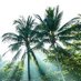 Explore Nicaragua 🇳🇮 🏝️🦜☕ (@explore_nica) Twitter profile photo Explore Nicaragua 🇳🇮 🏝️🦜☕ (@explore_nica) Twitter profile photo