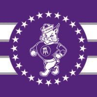Direct affiliate with @BarstoolSports | No affiliation with Kansas State | DM submissions to Instagram @barstoolkstate |
