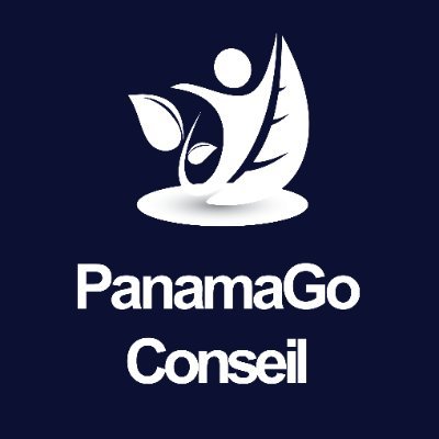 panamagoconseil Profile Picture